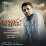 Meysam Ebrahimi Ehsas